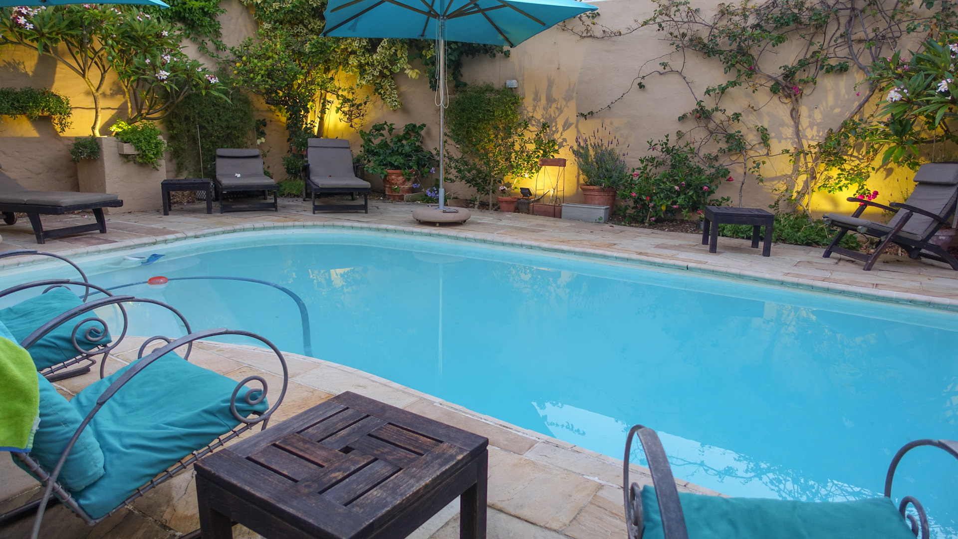 Pool with teal-cushioned chairs and lush planting at Rosedene Lodge in Sea Point